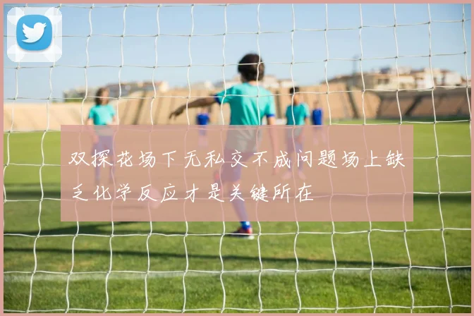 双探花场下无私交不成问题场上缺乏化学反应才是关键所在